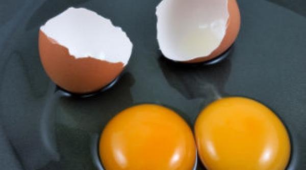 aliment controversat 5 mituri despre oua