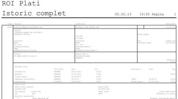 assai euroins si a platit facturile restante de abia dupa ce un service din timisoara a cerut insolventa