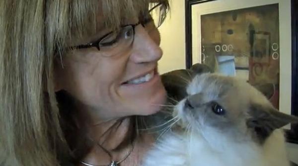 ciudatenie in lumea animalelor o pisica traieste de 13 ani cu doua capete video