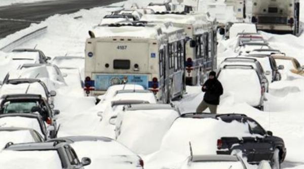 nemo face ravagii in sua oamenii si au facut provizii scolile au fost inchise sute de zboruri au fost anulate video