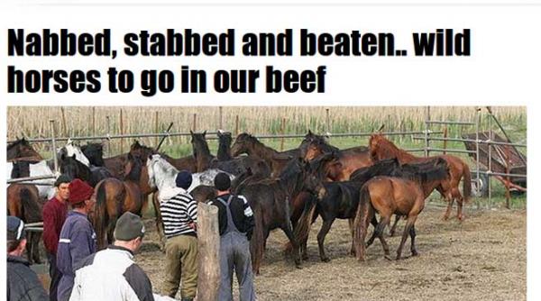 the sun vine cu o noua ipoteza caii chinuiti au ajuns in farfuriile britanicilor