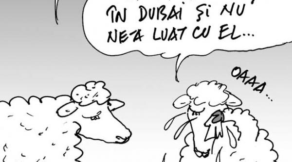 caricatura zilei 12 februarie 2013