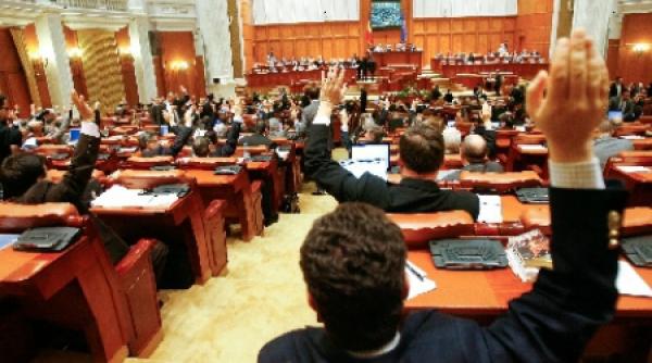 democrat liberalii vor contesta statutul parlamentarilor la curtea constitutionala