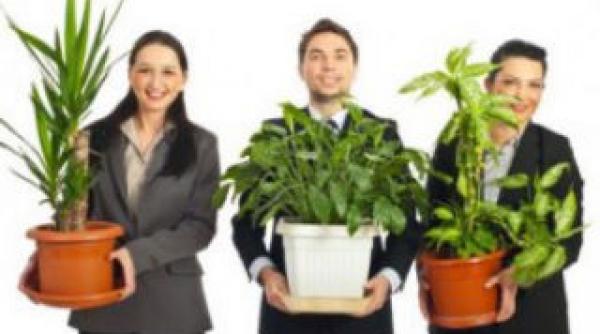 esti obosit si stresat afla cum sa te calmezi la birou