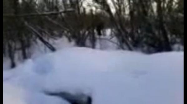 un pustan rus l a intalnit pe yeti in siberia crezi ca este adevarat video