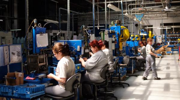 produsul intern brut a crescut cu 0 2 conform ins