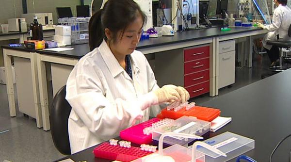 uniunea europeana a aprobat planul de lupta in scandalul carnii de cal vor fi efectuate 2 250 de teste adn