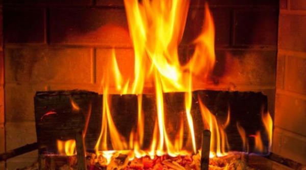 emisiune tv lemne de foc norvegia