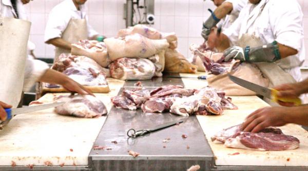 carne de cal companii romanesti