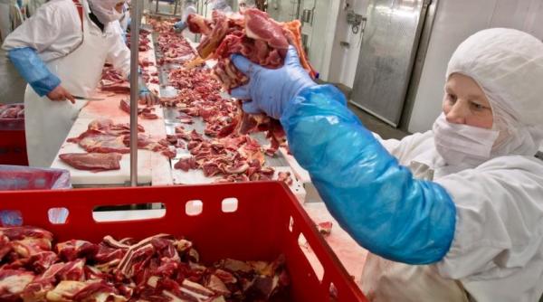 mii de pachete de lasagna cu carne de cal confiscate in portugalia