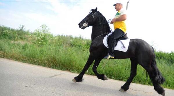 jurnalul unui roman sarac probleme si sau provocari