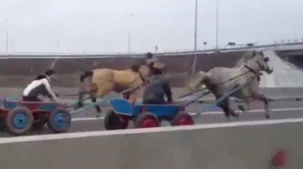 liniuta autostrada soarelui carute cai