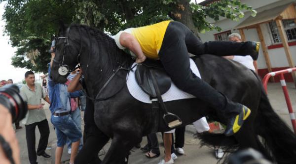 nutu camataru lei ursi cerbi confiscati