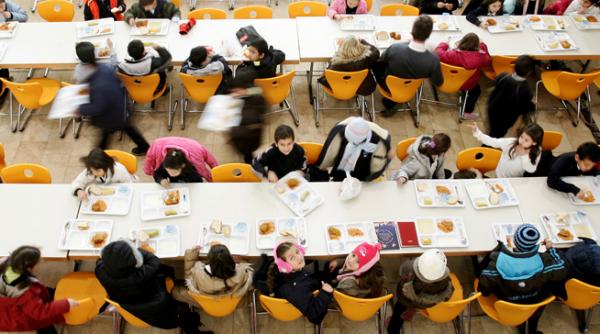 inteligenta umana declin