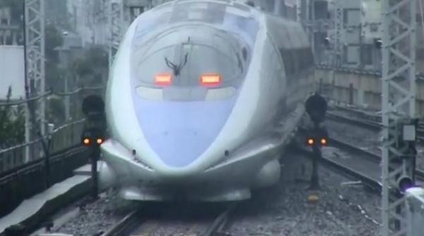 un tren de mare viteza a deraiat in nordul japoniei