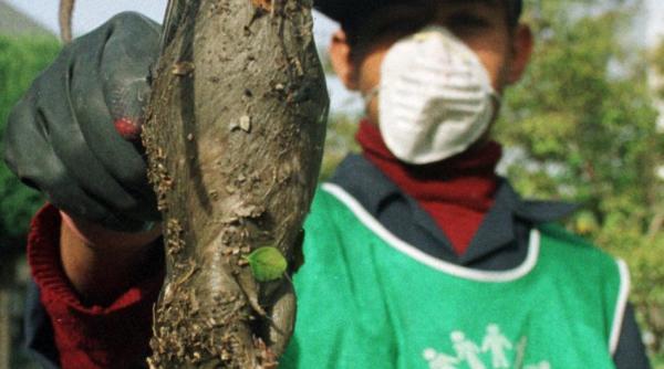 iranul a declansat o ampla actiune militara cu 40 dintre cei mai buni lunetisti ai armatei vezi pentru ce