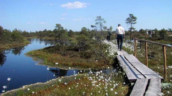 ghid pentru gestionarii ariilor protejate prin natura 2000