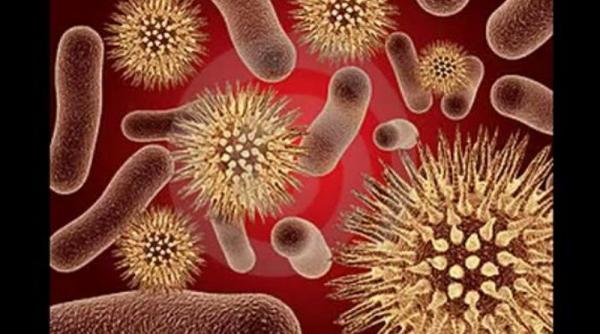 un nou pericol ameninta omenirea antibioticele cele mai puternice nu au efect infectiile sunt imposibil de tratat