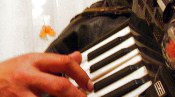 a murit acordeonistul marin onila