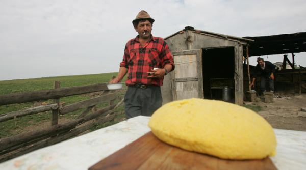 bulgaria 5 romania 0 succesul bulgaresc si esecul romanesc