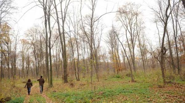 hartogarii inutile omoara padurea erorile birocratice ale celor de la mediu distrug siturile protejate