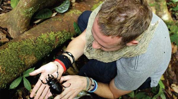 insectele lui dominic monaghan
