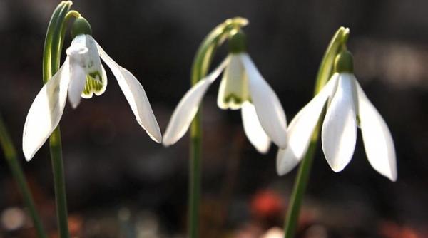 vreme deosebit de calda pentru aceasta data vezi prognoza meteo pentru weekend