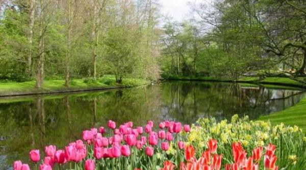 prima ora dupa ce te trezesti iti poate strica ziua 8 moduri cum sa incepi ziua cu energie