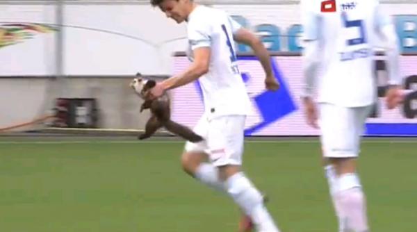 video meciul de fotbal dintre fc thun si zurich intrerupt de mai multe ori de un dihor nazdravan