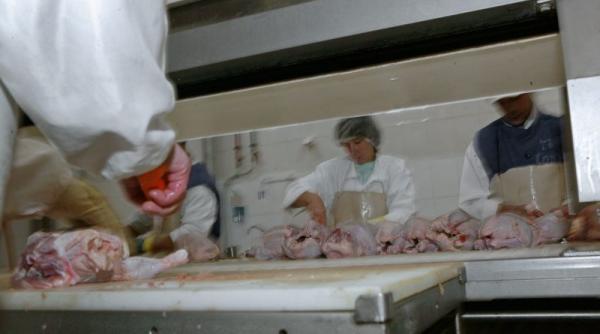 alerta de mancare toxica provenita din romania piept de curcan romanesc cu reziduuri de antibiotice descoperit in germania