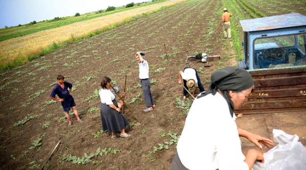 britanicii vor sa investeasca in romania mai precis in domeniul agricol