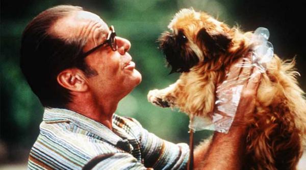 premiile oscar o mica istorie ii