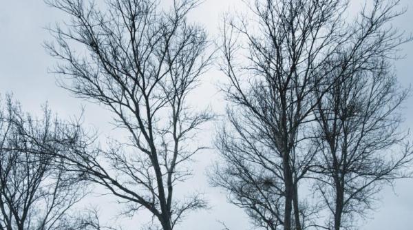 vreme rece precipitatii mixte si viscol vezi prognoza meteo pentru sfarsitul saptamanii