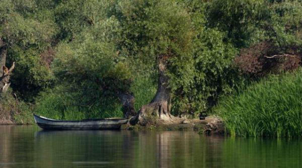 doi morti si doi disparuti dupa ce barca lor s a rasturnat in delta