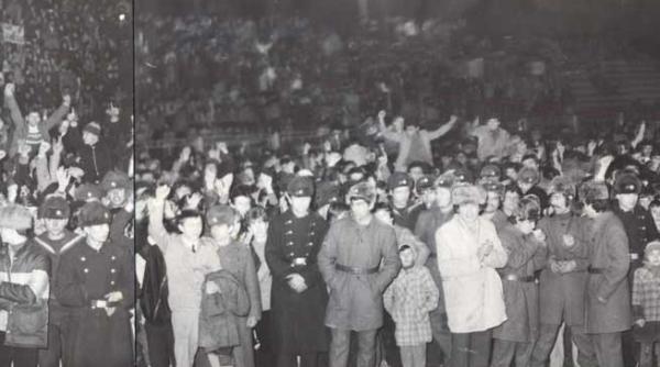 perfectiunea digestiva nu produce literatura