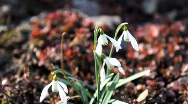 vremea sfarsitul lunii martie