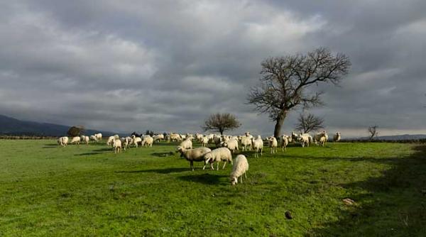 tendintele anului 2013 pentru turismului rural