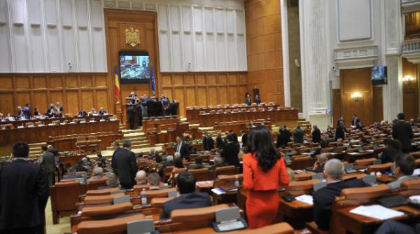 statutul alesilor parlament