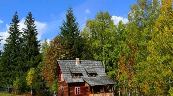 explicatie pentru fanii de elita