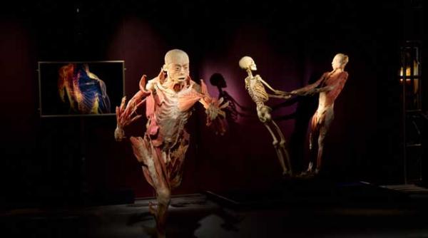 peste 3000 de bucuresteni la expozitia de la antipa