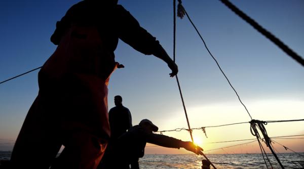 pescarii din zona lacului razelm protesteaza impotriva prohibitiei