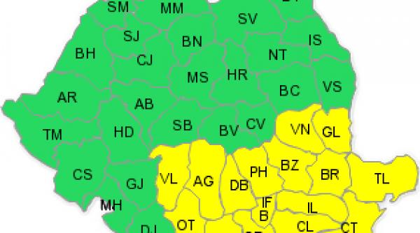 cod galben ninsori viscol