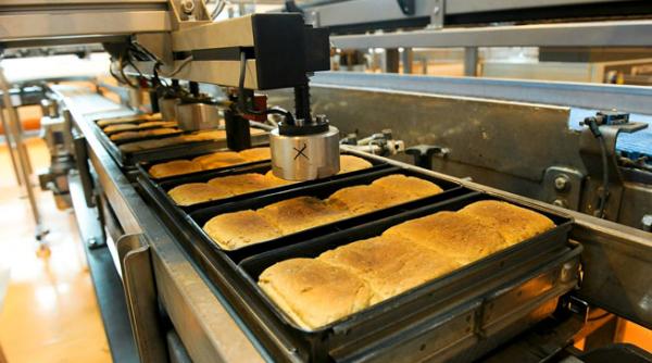 evaziunea fiscala in sectorul de morarit si panificatie a depasit 70 la finele anului 2012 totalizand un miliard de lei