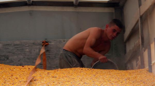 in 2012 romania s a aflat pe locul 1 in ue la cultivarea porumbului si locul trei la productie