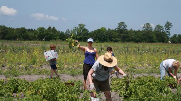 am fost sarac 30 de ani fara sa stiu ca am o comoara ce a descoperit un fermeier spaniol in curtea sa