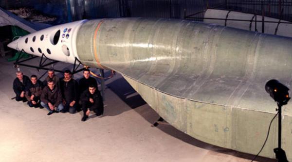 arca actiune penala dna rosa