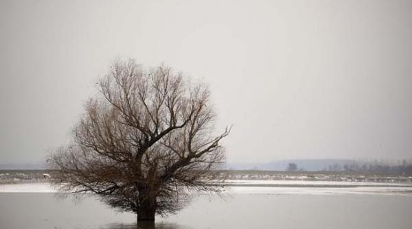 avertizare cod galben de cresteri ale debitelor dunarii