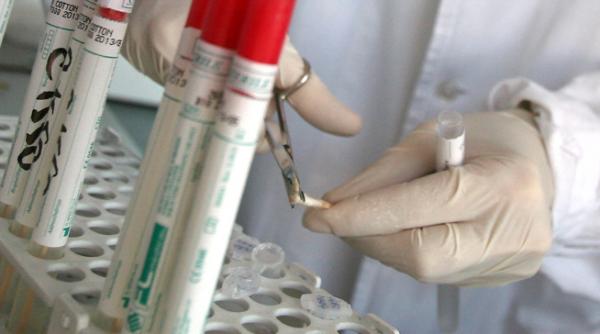 noua forma de gripa aviara mai face doua victime