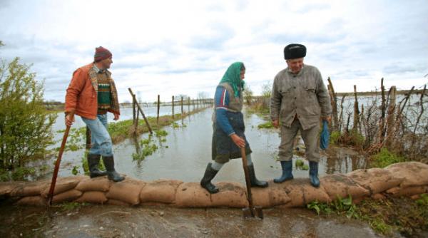 cod portocaliu debit dunare