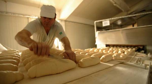 de ce scade tva la paine